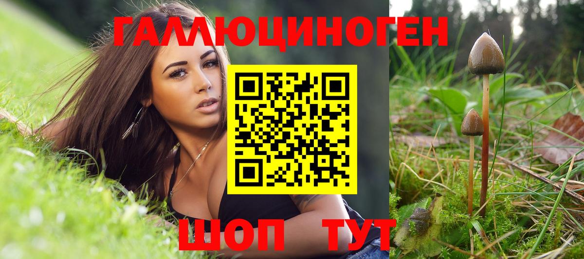 Галлюциногенные грибы прущие грибы Кисловодск