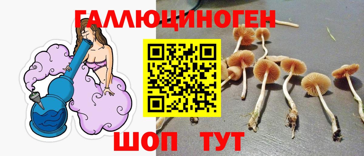 Галлюциногенные грибы MAGIC MUSHROOMS  Галлюциногенные грибы мицелий  Вход с VPN  Кисловодск 